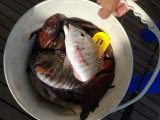 IMG_20221110_153636734.jpg