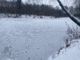CA84841C-889E-4974-88DB-C58BF18C522A.jpeg