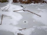 IMG_20221126_100210_1.jpg