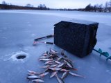 IMG_20221126_163549.jpg
