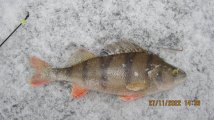 IMG_2521.JPG