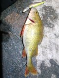 IMG_20221128_231455.jpg
