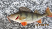 IMG_2541.JPG