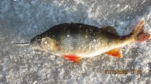 IMG_2560.JPG