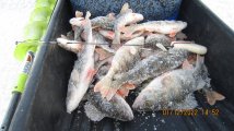 IMG_2564.JPG