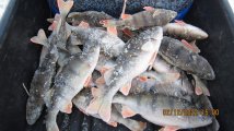 IMG_2567.JPG