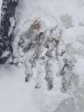 20221217_134652.jpg