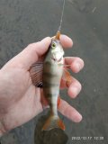 IMG_20221217_123042.jpg