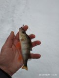 IMG_20221217_143505.jpg