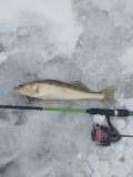 20221218_094337.jpg