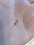IMG_20221219_122318.jpg