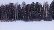 снег.jpg