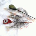 IMG20221218134833.jpg