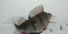 IMG_20221217_135036.jpg