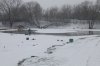IMG_5465.JPG