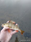 IMG_20221229_091933.jpg