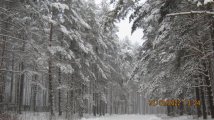 IMG_2612.JPG