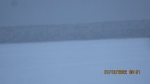 IMG_2600.JPG