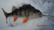 IMG_2602.JPG
