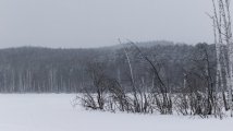 DSC_6159.jpg
