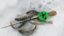 DSC_6167.jpg
