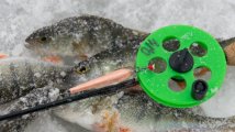 DSC_6169.jpg
