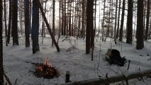 кострик.jpg