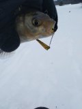 IMG_20230114_121657.jpg
