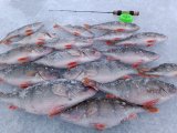 IMG_20230114_162301.jpg