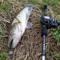 IMG_20201021_221855_424.jpg