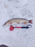 IMG_20230115_131618.jpg