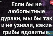 ы.JPG
