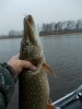 DSCN3778.jpg