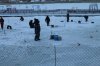 IMG_5646.JPG