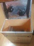 IMG_20230127_192236_1з.jpg