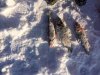IMG_0065.jpg