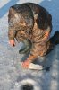 IMG_5719.JPG