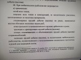 IMG_20230205_104846.jpg