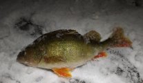 IMG_20230205_115718.jpg