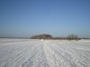 IMGP0042.jpg