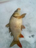 IMG_20221220_131440.jpg