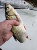 IMG_20230121_152541.jpg