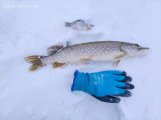 IMG_20230219_123546.jpg