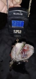 IMG_20230216_185729.jpg