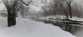 IMG_20230304_145521.jpg