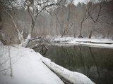 IMG_20230304_160613.jpg