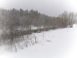 IMG_20230304_163311.jpg