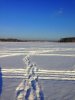 IMG_0774.jpg