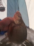 IMG_3412.JPG