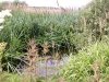 DSCN3248.jpg